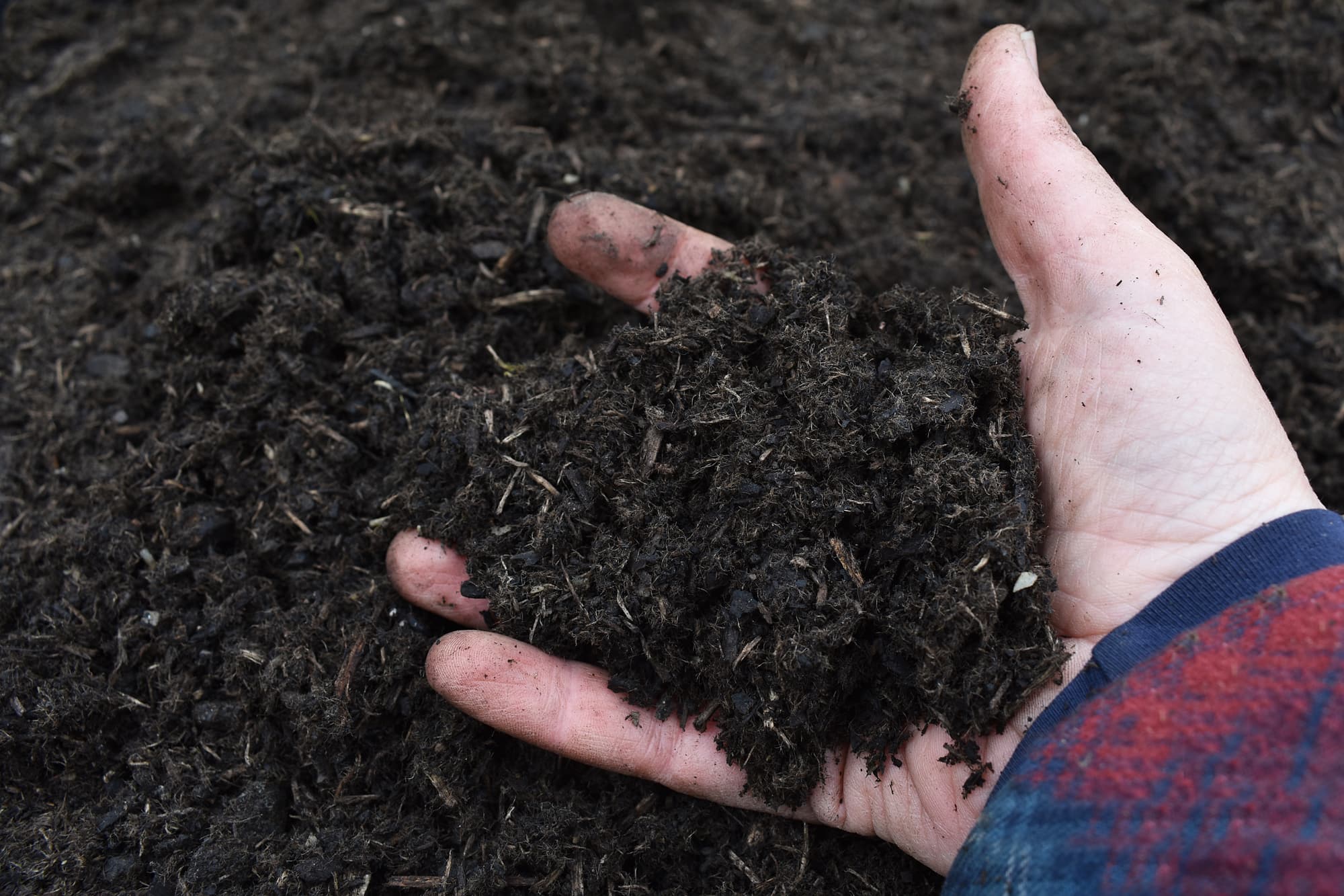 A handful of dark, soil-like material — waste converted into a usable resource