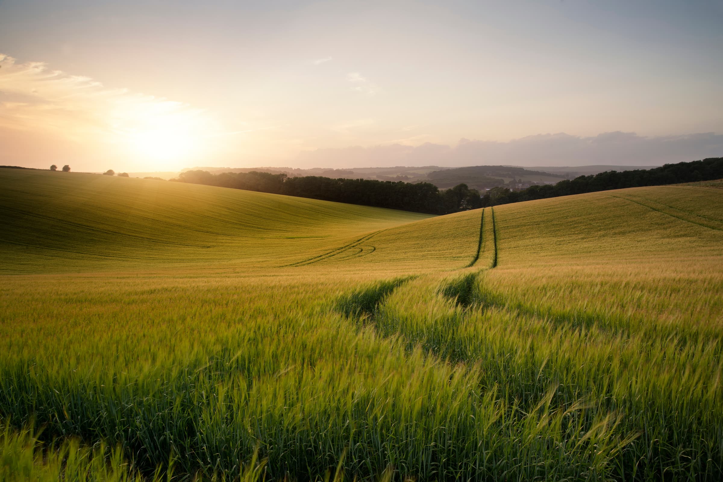 Sunrise over an open field — a world worth changing together